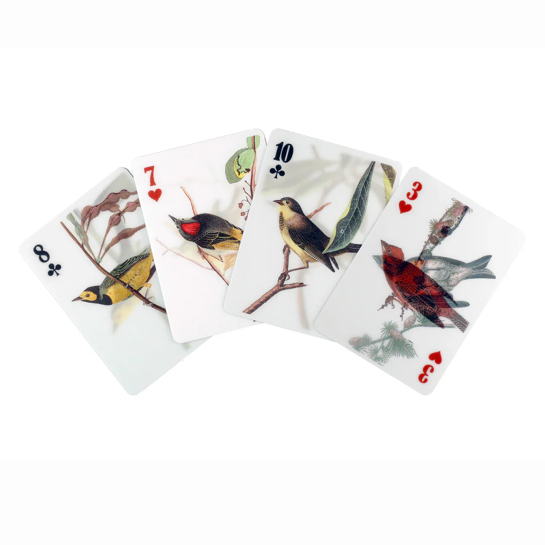 3D Bird Playing Cards - Image 2