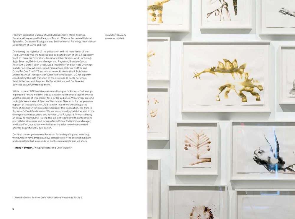 Alexis Rockman: New Mexico Field Drawings - Image 2