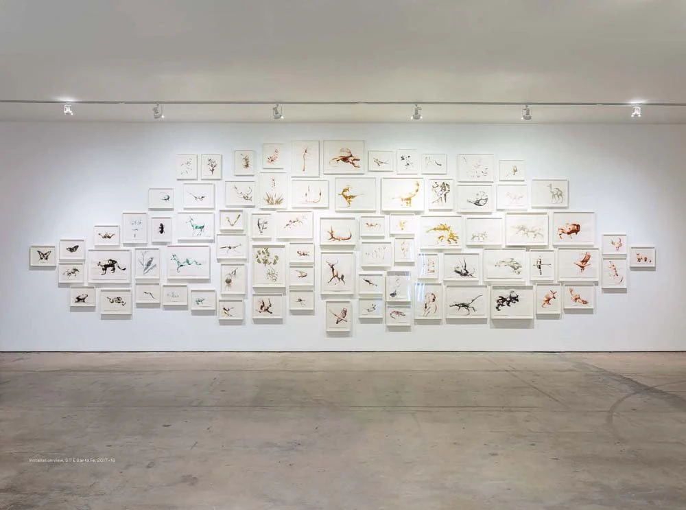 Alexis Rockman: New Mexico Field Drawings - Image 4