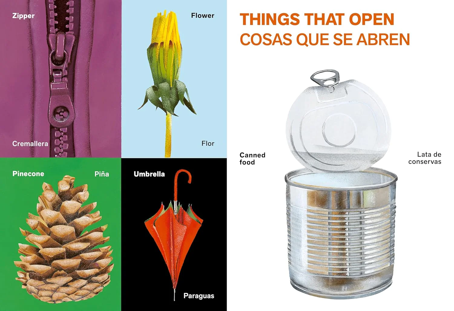 All Kinds of Things/Todo tipo de cosas - Image 2