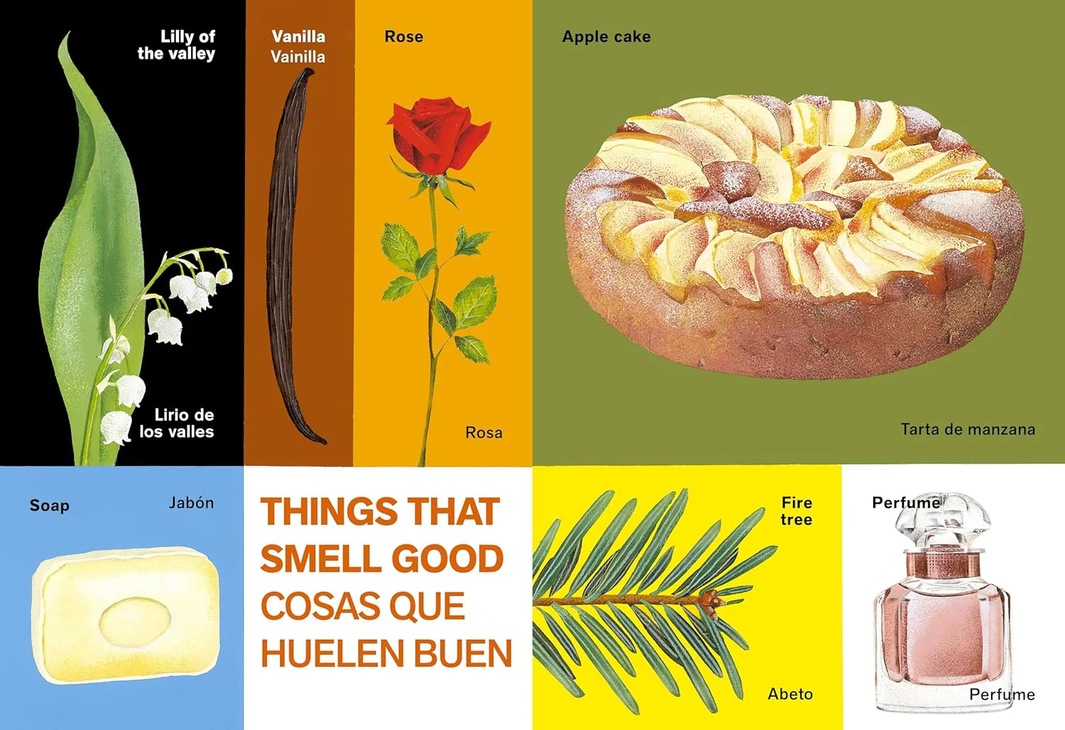 All Kinds of Things/Todo tipo de cosas - Image 3