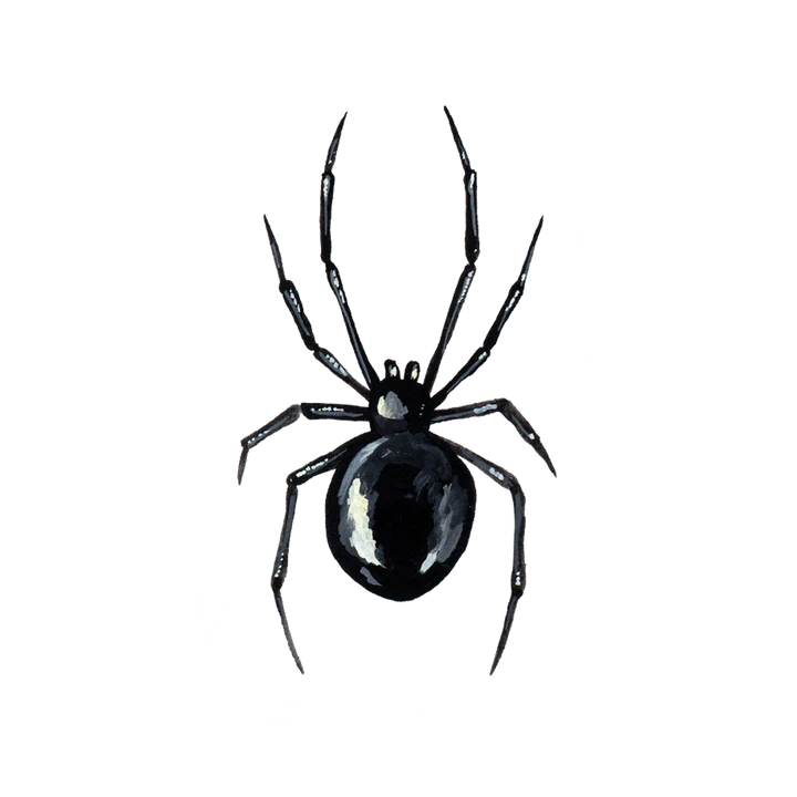 Black Widow Tattoo Pair