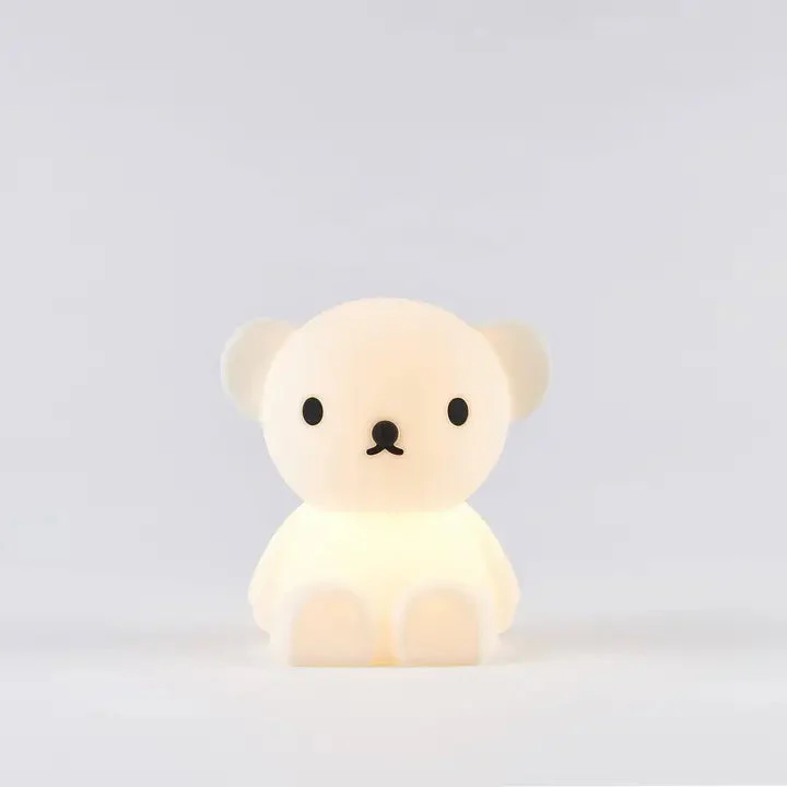 Boris The Bear Bundle of Light - Image 2