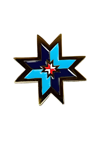 Bruce Star Enamel Pin