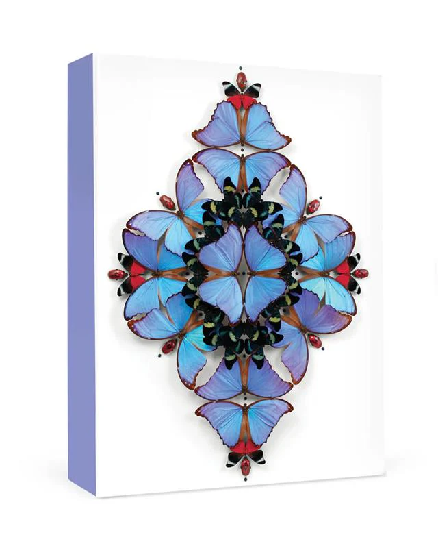 Christopher Marley: Sinfonietta Small Boxed Card