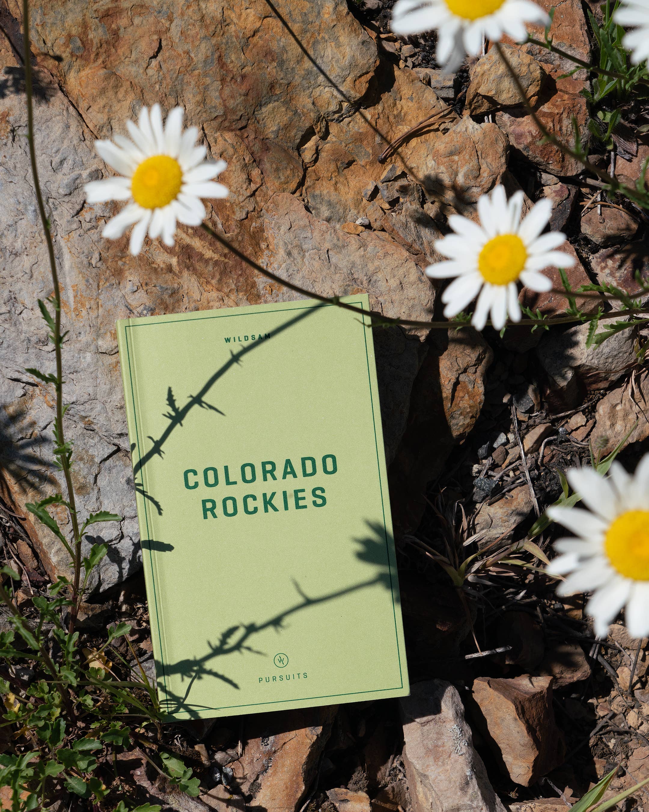 Colorado Rockies Field Guide Book - Image 4