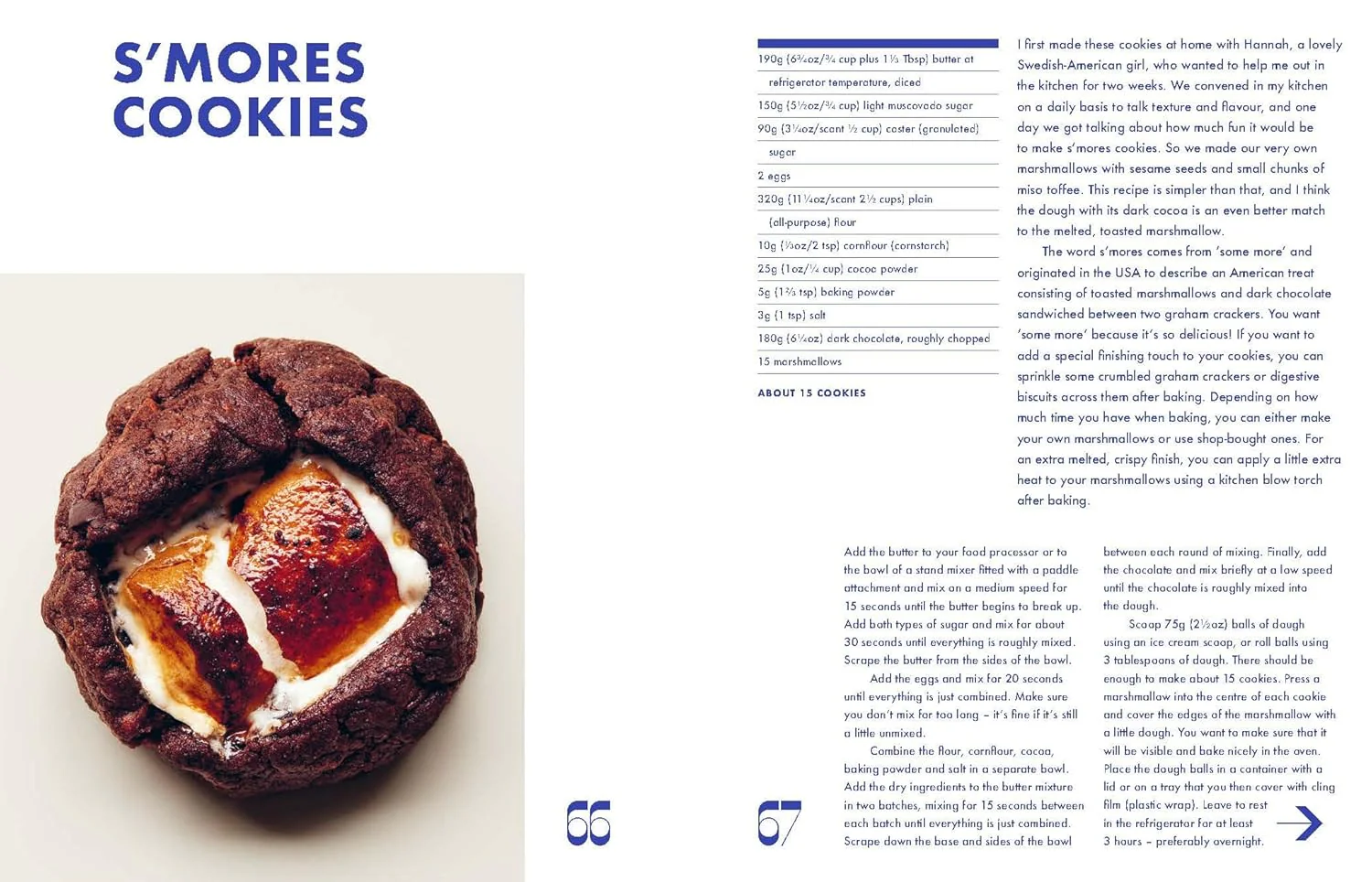 Cookies & Crumbs: Chunky, Chewy, Gooey Cookies for Every Mood - Image 3