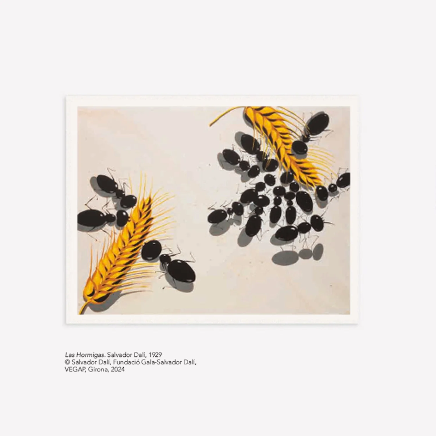 Dali Ant Earrings - Image 3