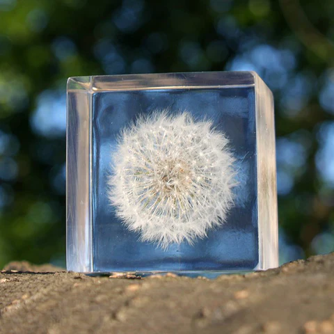 Dandelion Sola Cube (1.6") - Image 3