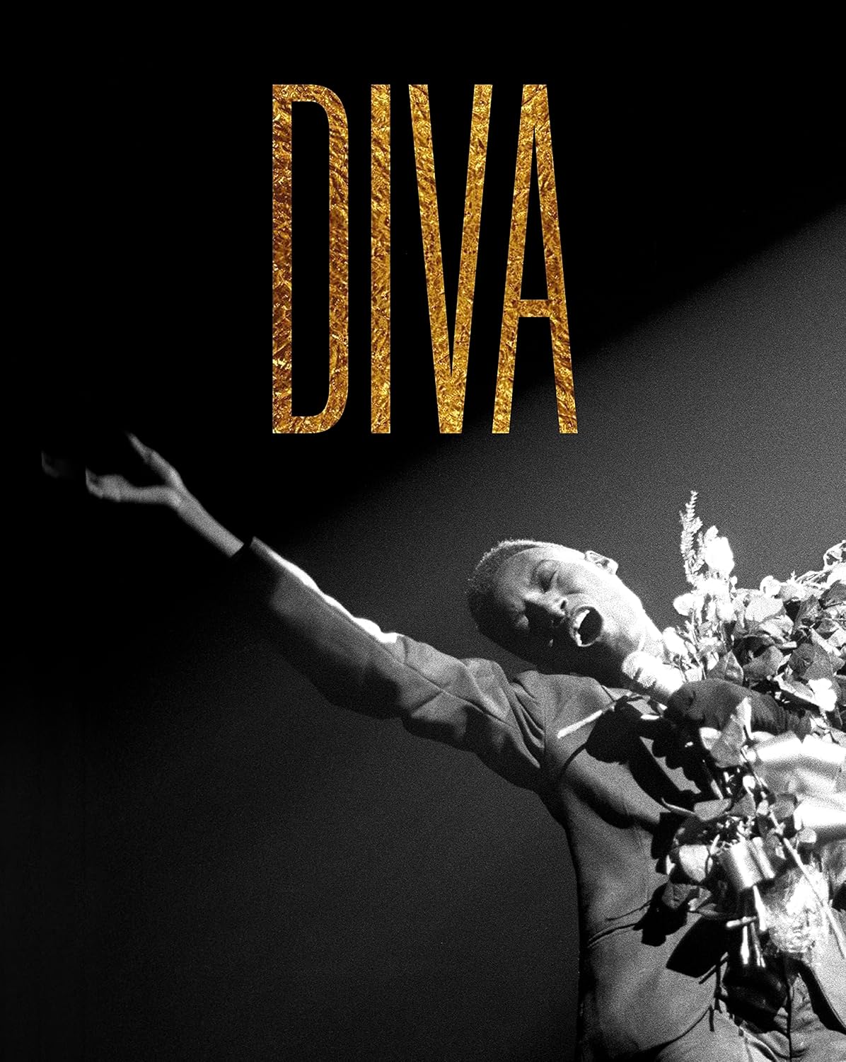 DIVA Catalog