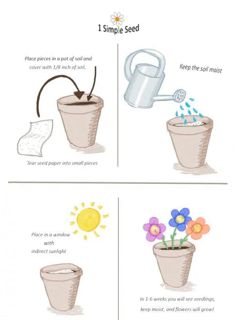 Fathers Day | Plantable Card | Hand Drawn | Wildflower Seed Paper | Boat | - Image 3