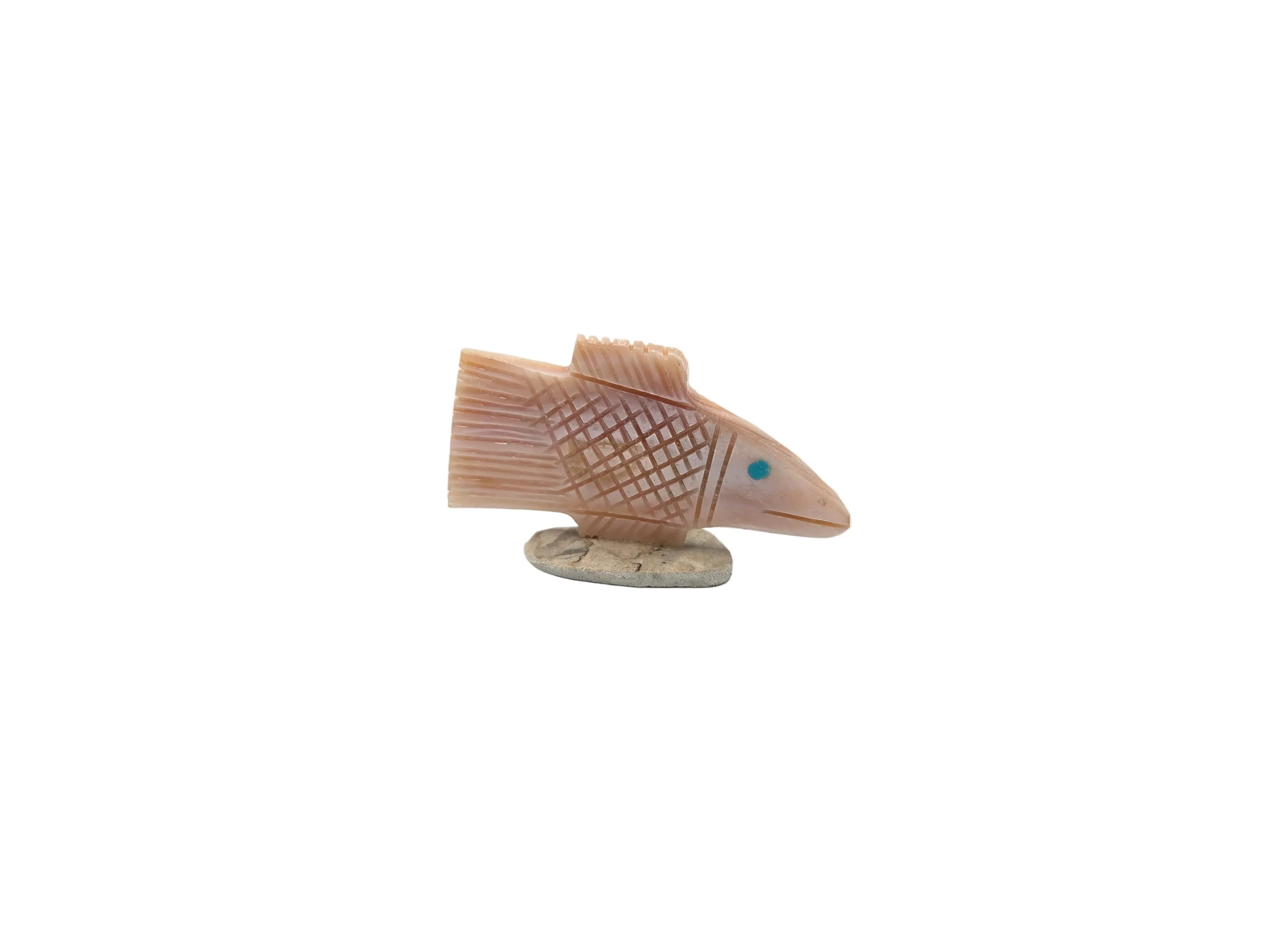 Pink Muscle Shell Fish by Carl Etsate