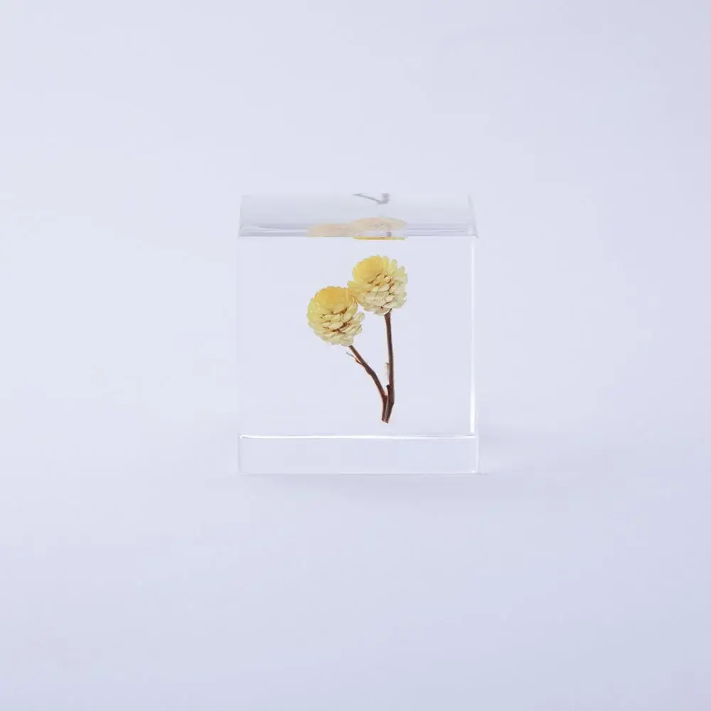 Immortelle Sola Cube - Image 10