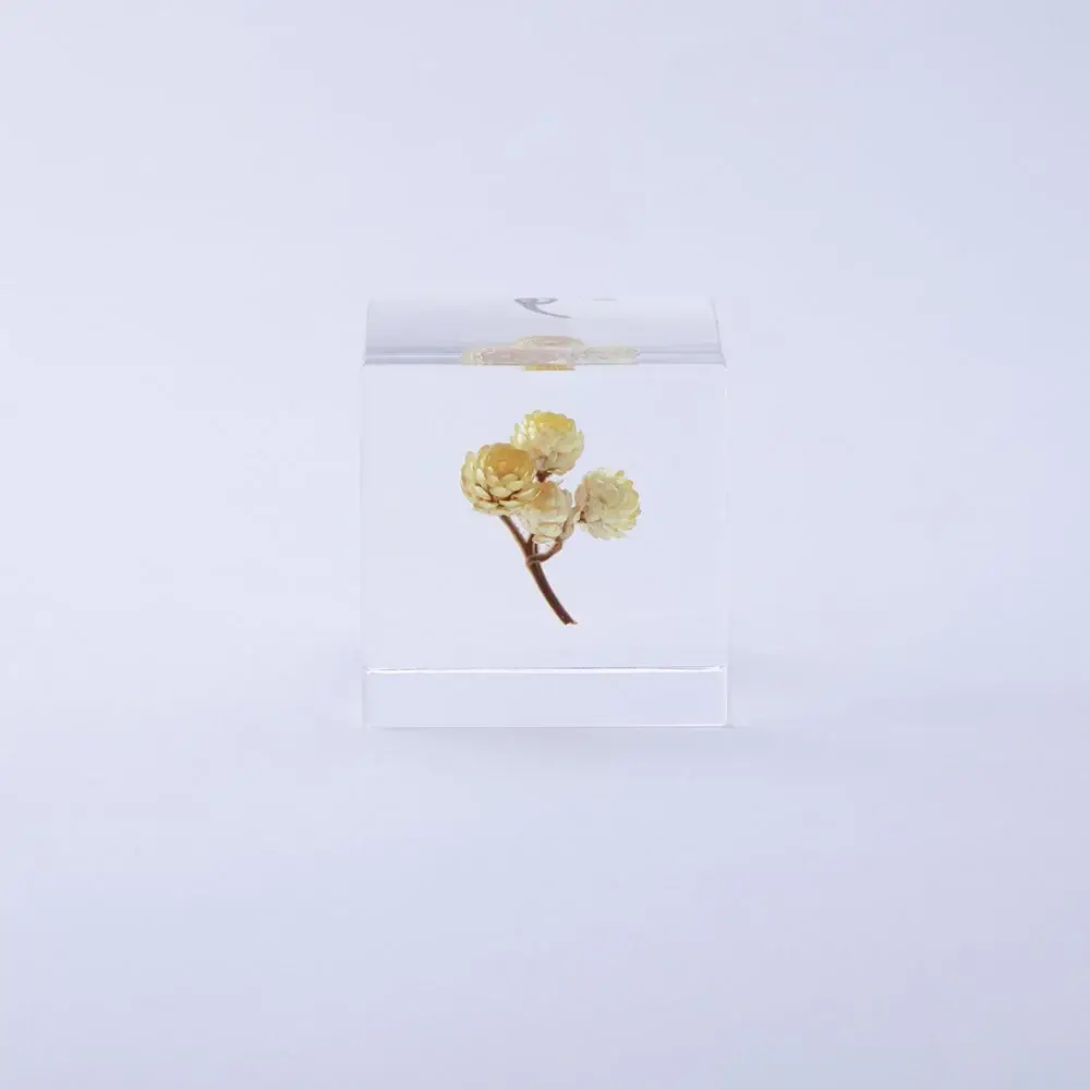 Immortelle Sola Cube - Image 11