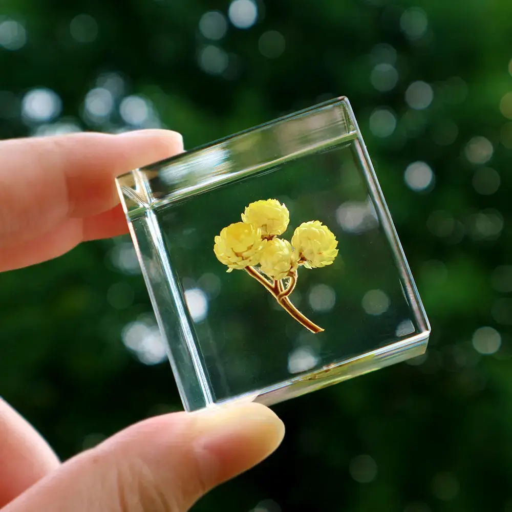Immortelle Sola Cube - Image 2