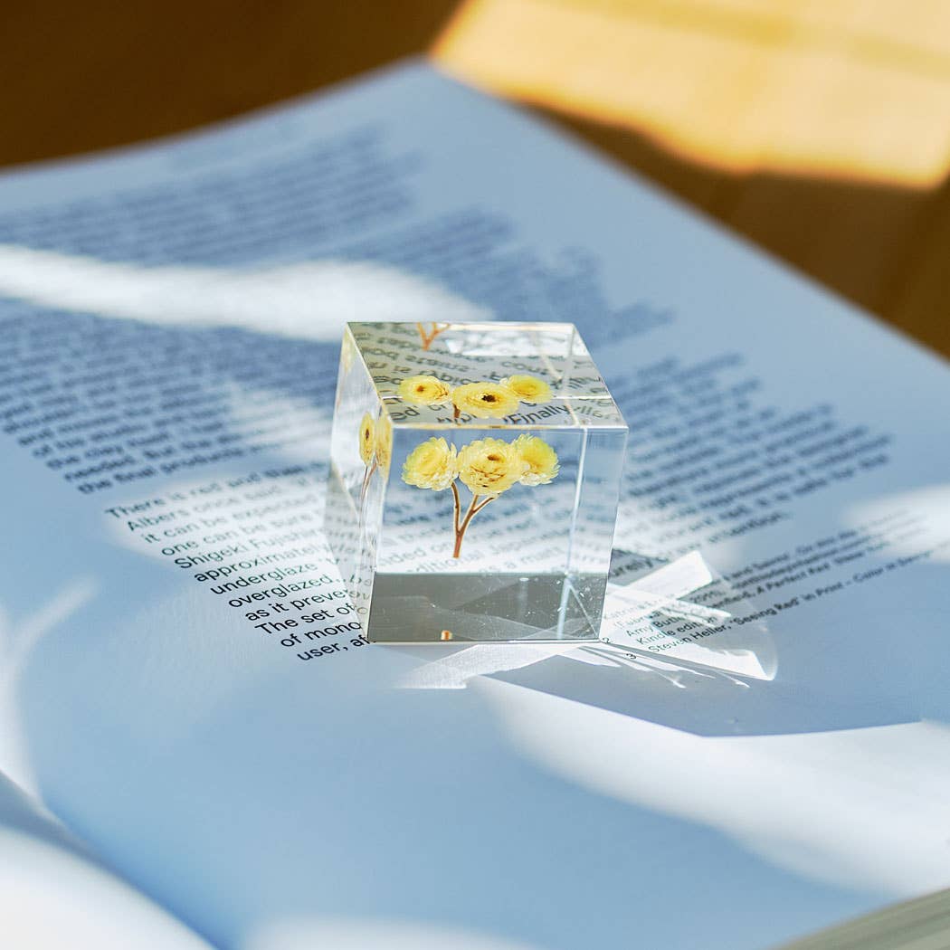 Immortelle Sola Cube - Image 3