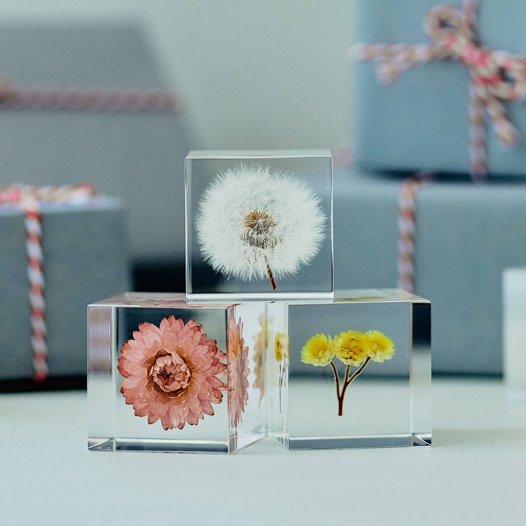 Immortelle Sola Cube - Image 4