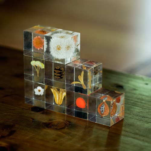 Immortelle Sola Cube - Image 6