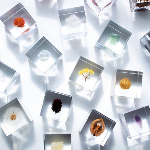 Immortelle Sola Cube - Image 7