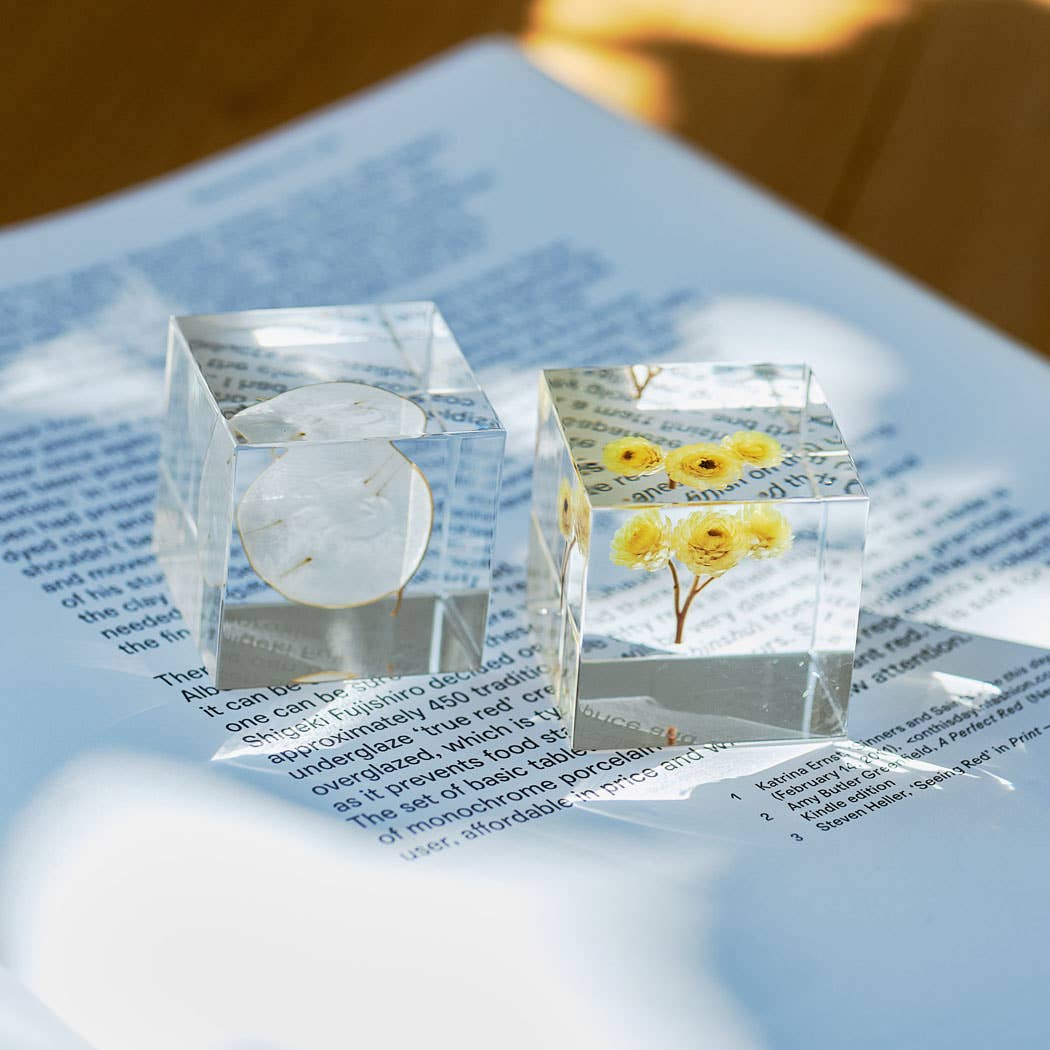 Immortelle Sola Cube - Image 8