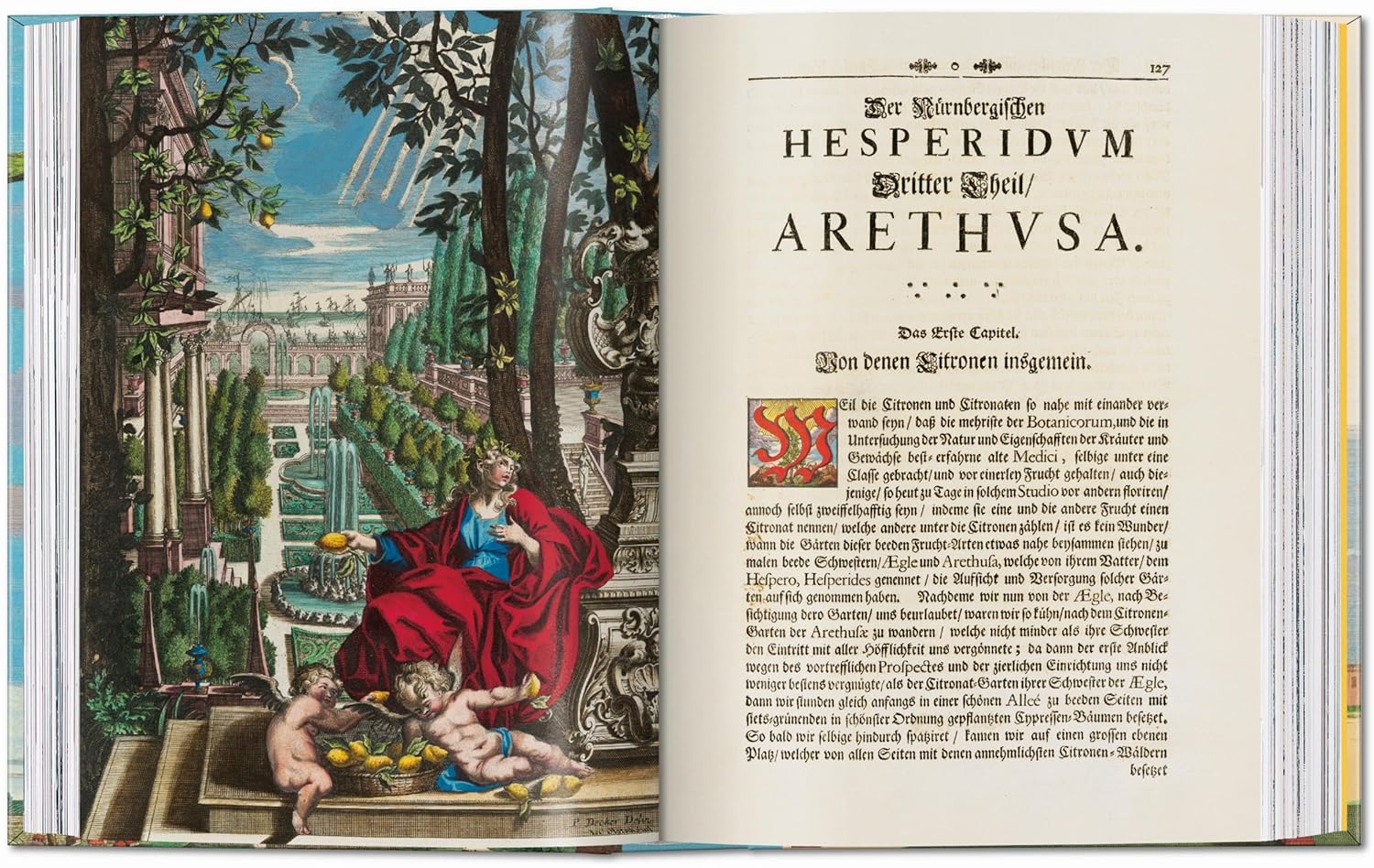 J. C. Volkamer. The Book of Citrus fruits. 45th Edition - Image 3