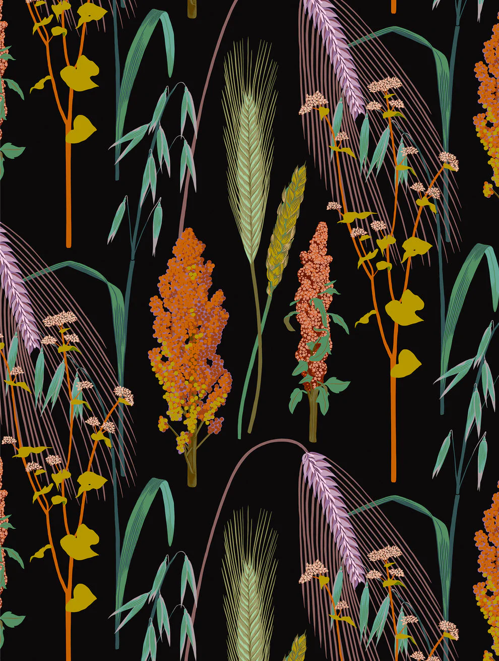 Kate Blairstone Slipcase Boxed  Notecards - Image 3