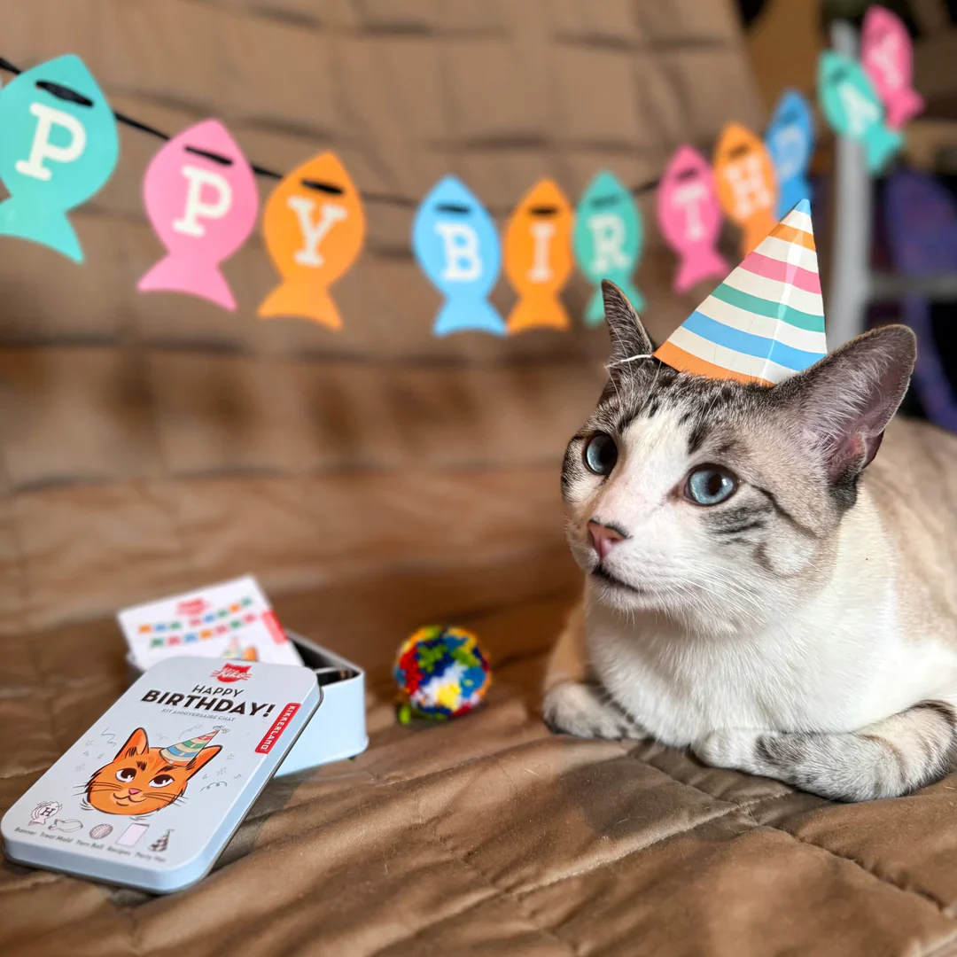 KIKO Cat Happy Birthday Kit - Image 3
