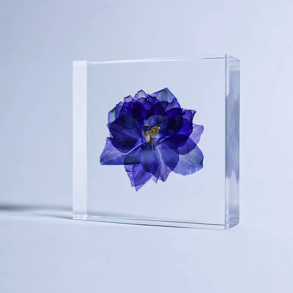 Larkspur Sola Cube - Image 2