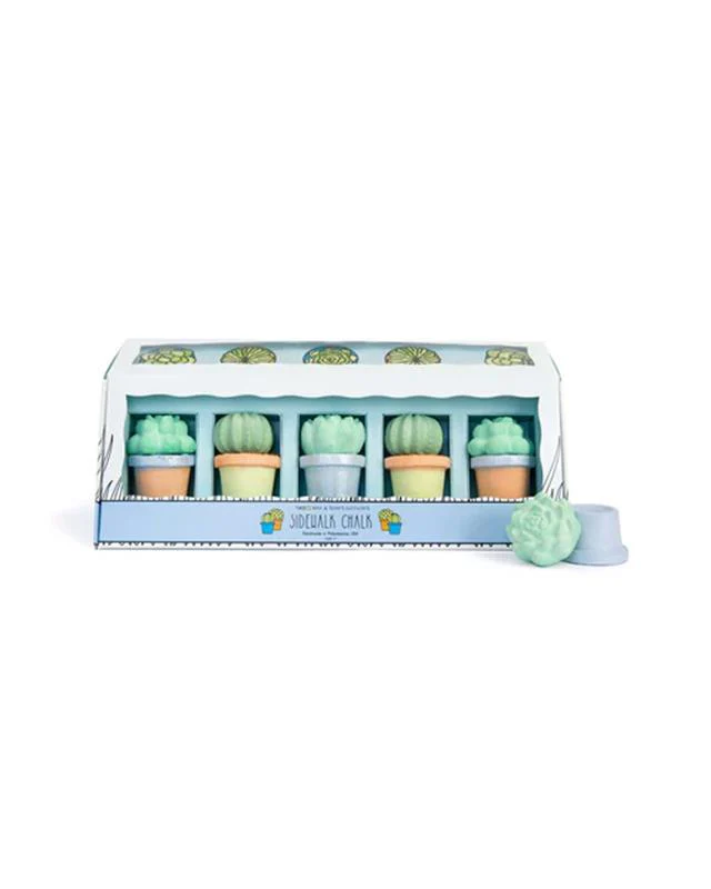 Maya & Siona's Succulents Sidewalk Chalk