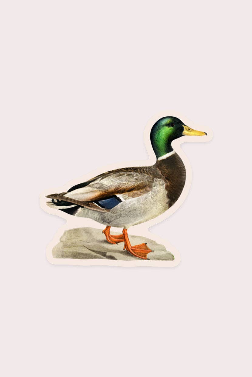Measured Mallard - Gap Filler Sticker - Image 2