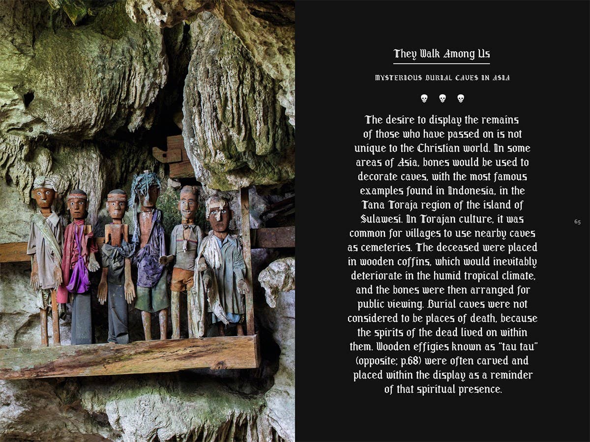 Memento Mori: The Dead Among Us - Image 4