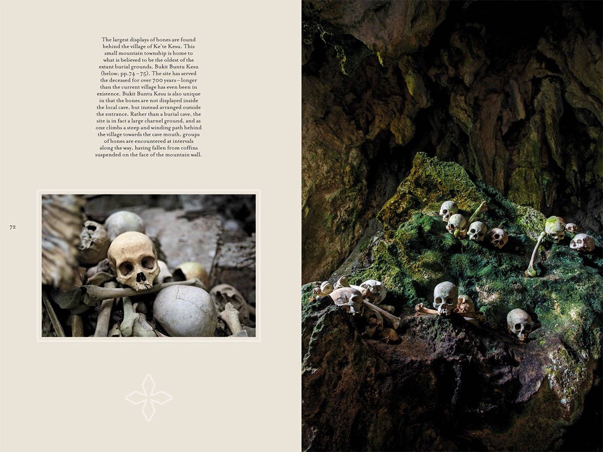 Memento Mori: The Dead Among Us - Image 5