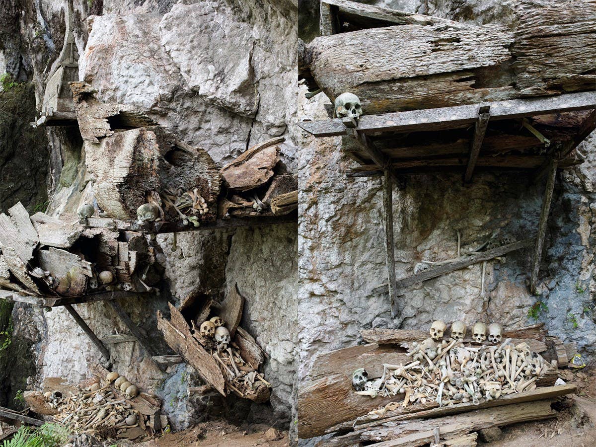 Memento Mori: The Dead Among Us - Image 6
