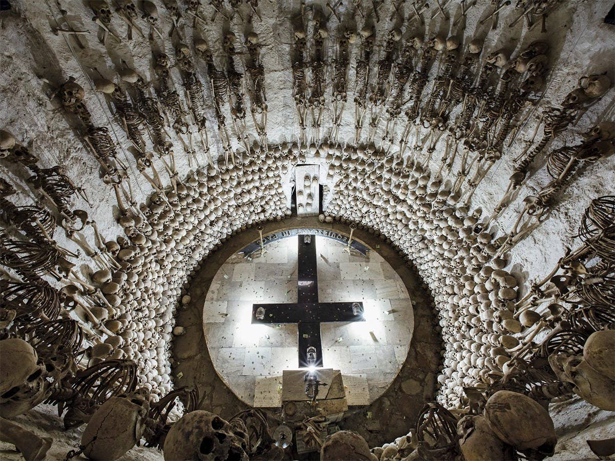 Memento Mori: The Dead Among Us - Image 7