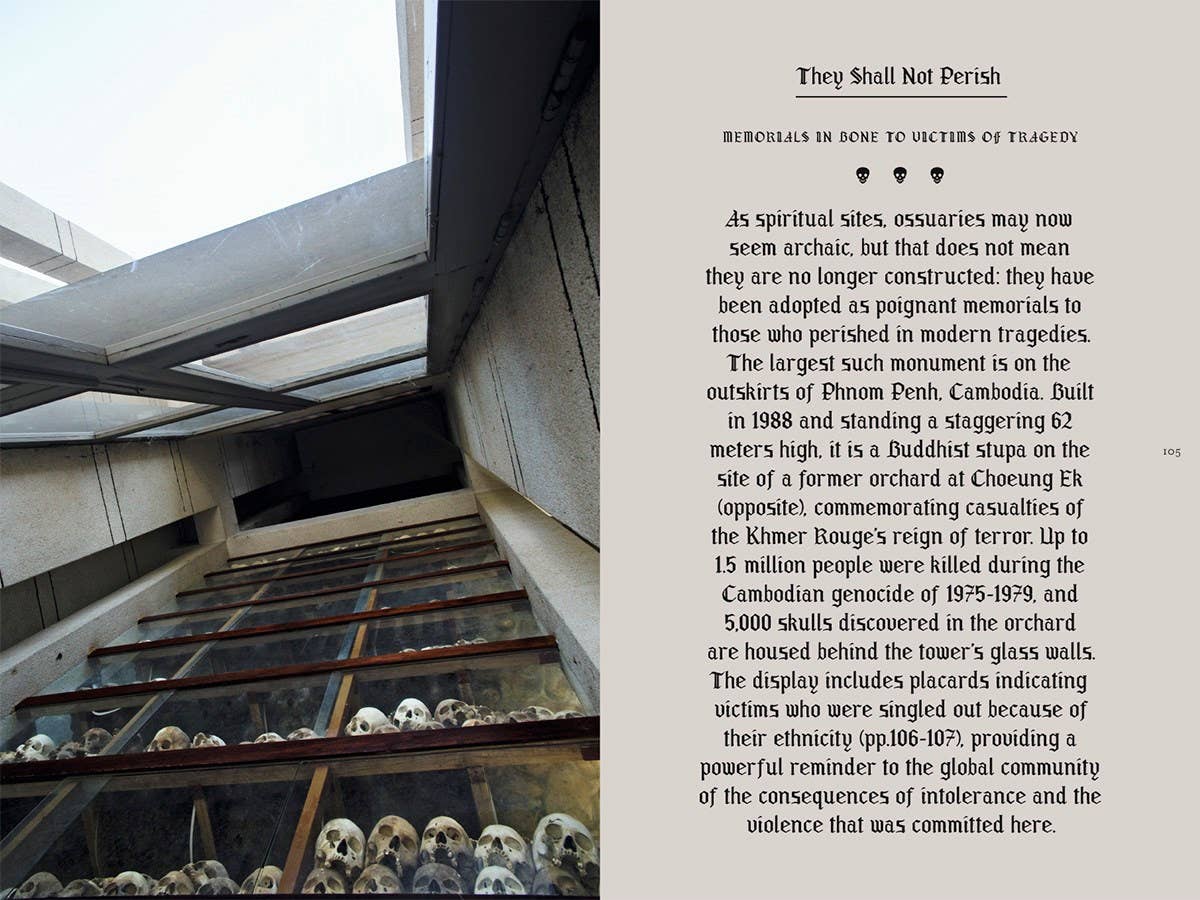 Memento Mori: The Dead Among Us - Image 8