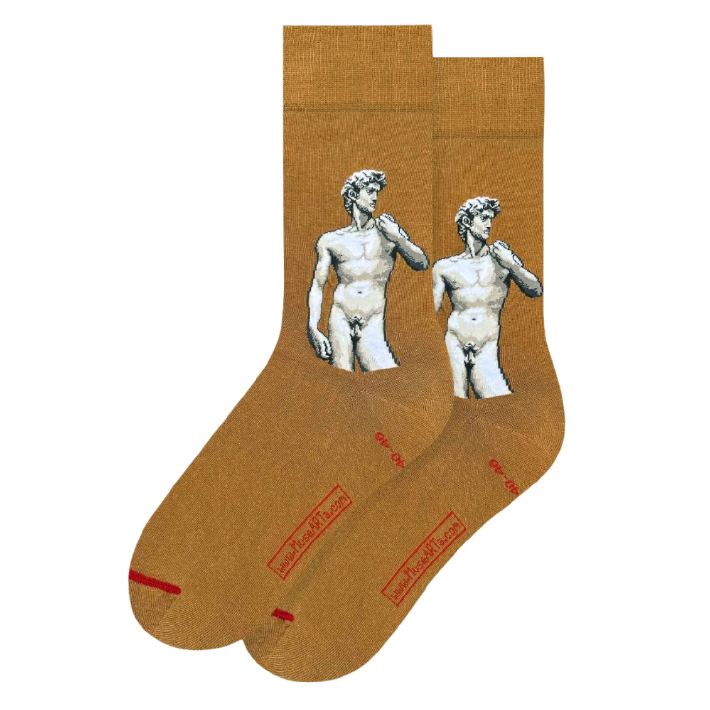 Michelangelo's David and Fig Leaf Socks