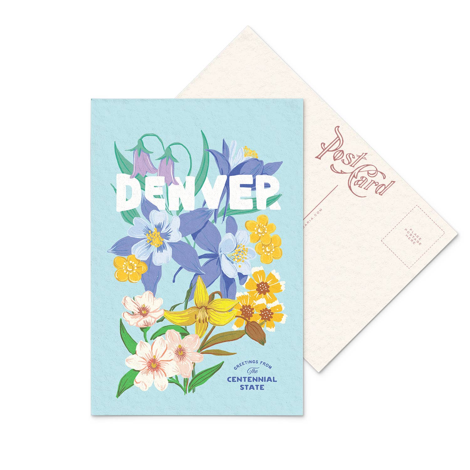 Mile High Blooms: Colorado Wildflower Postcard
