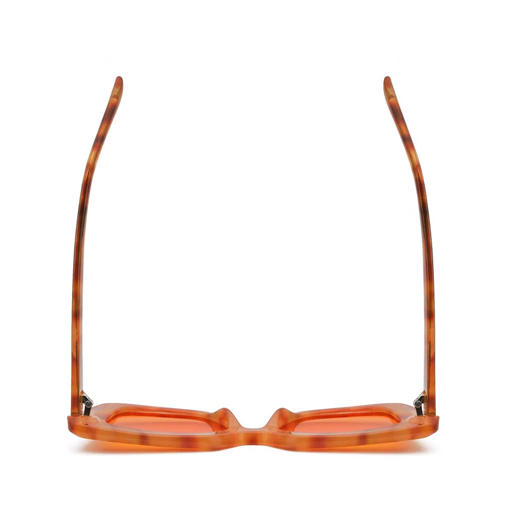 MONIQUE | Amber Tortoise | Orange Lens - Image 5