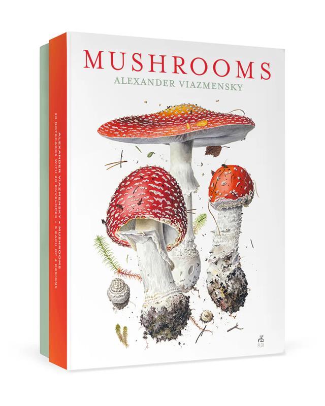 Mushrooms: Alexander Viazmensky Boxed Notecard Assorted