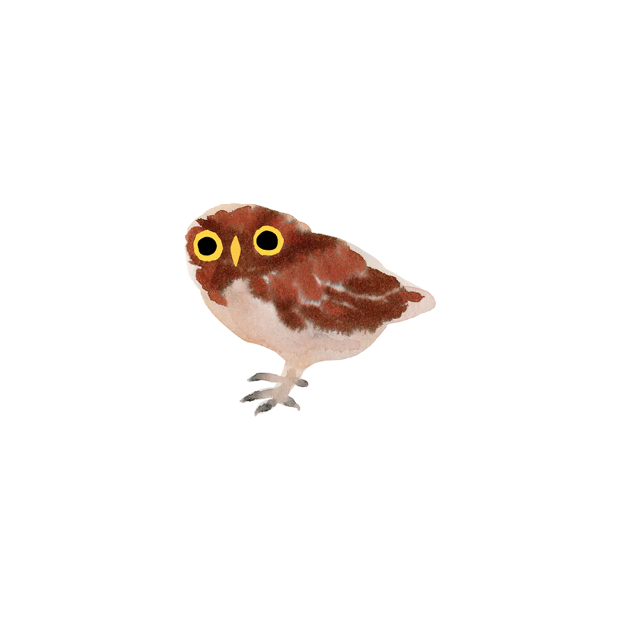 Owlet Tattoo Pair