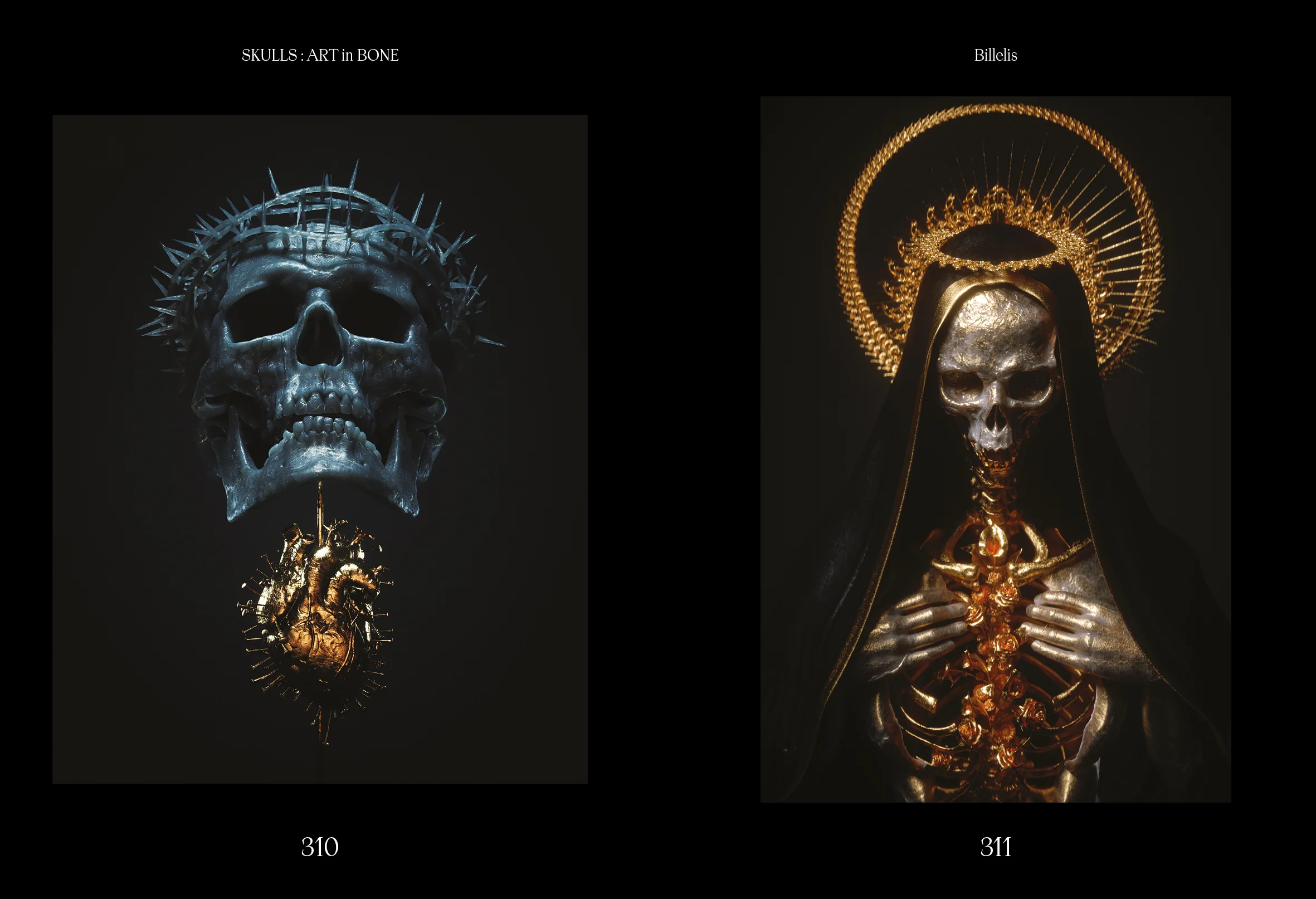 Skulls: Art In Bone: A Contemporary Anthology of Skull-Inspired Art - Image 4