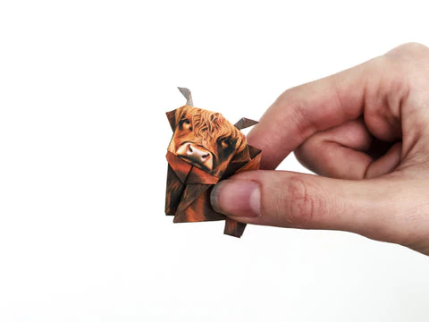 Paper Highland Cows - Image 2