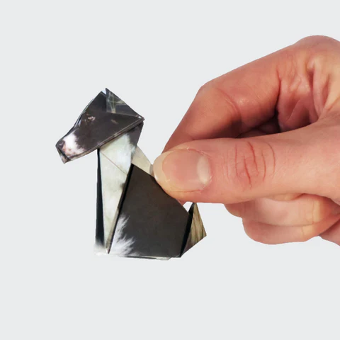 Paper Pups - Image 3
