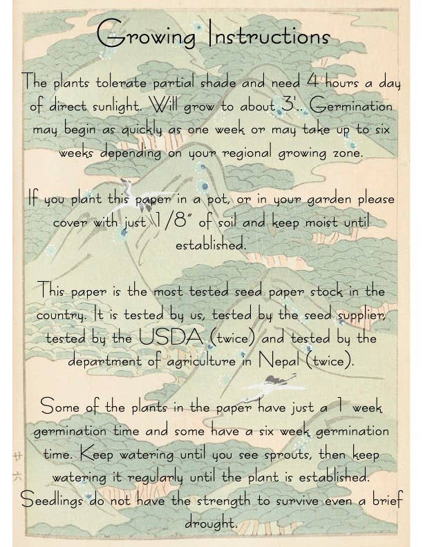 Echinacea Thank You Plantable Seed Card - Image 3