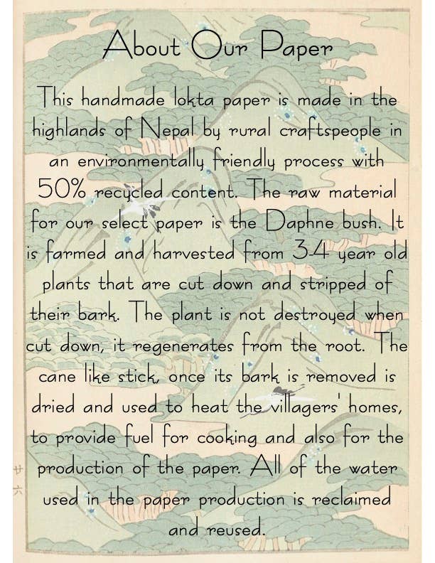 Echinacea Thank You Plantable Seed Card - Image 4