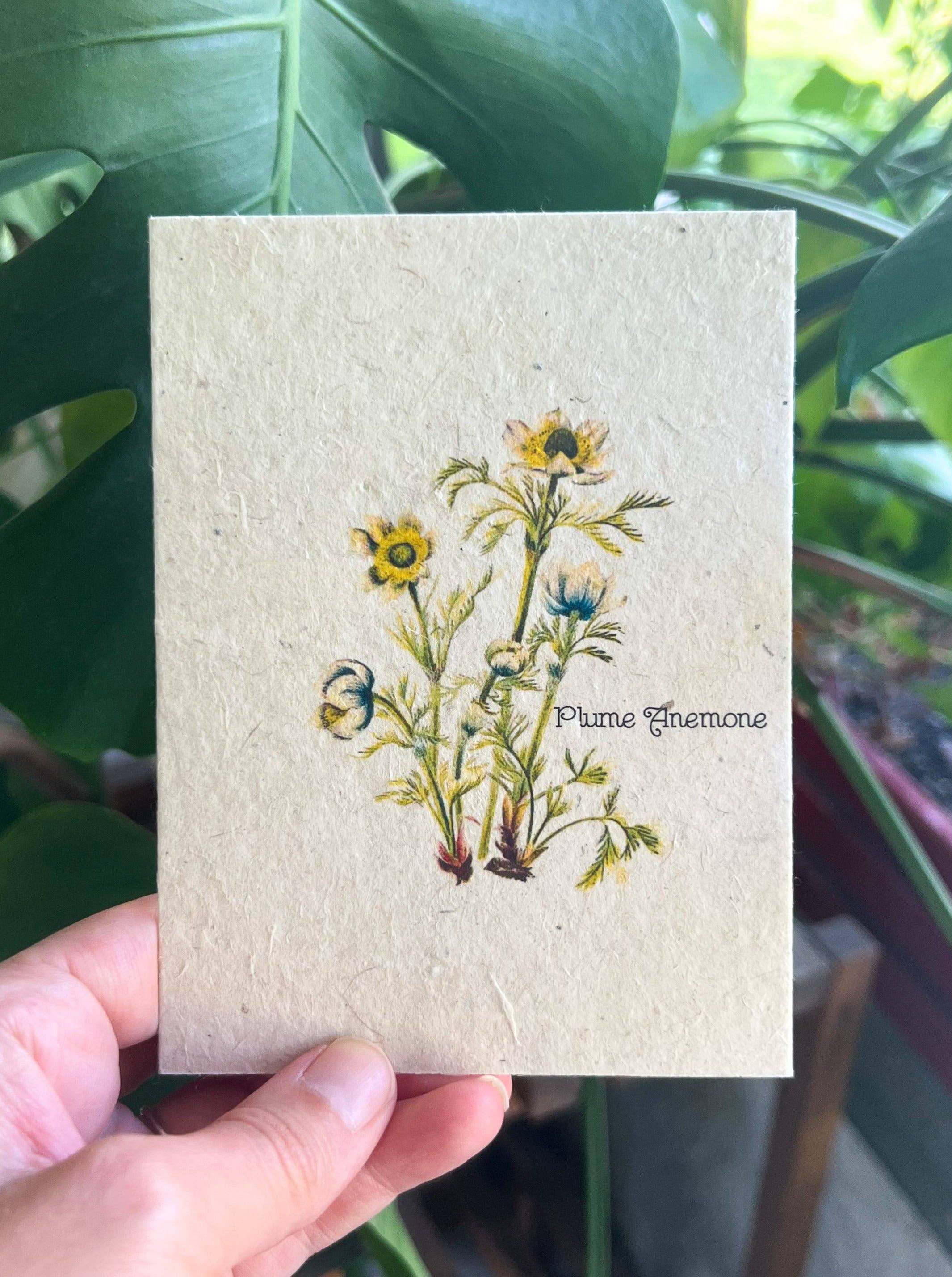 Plume Anemone Plantable Seed Card - Image 6