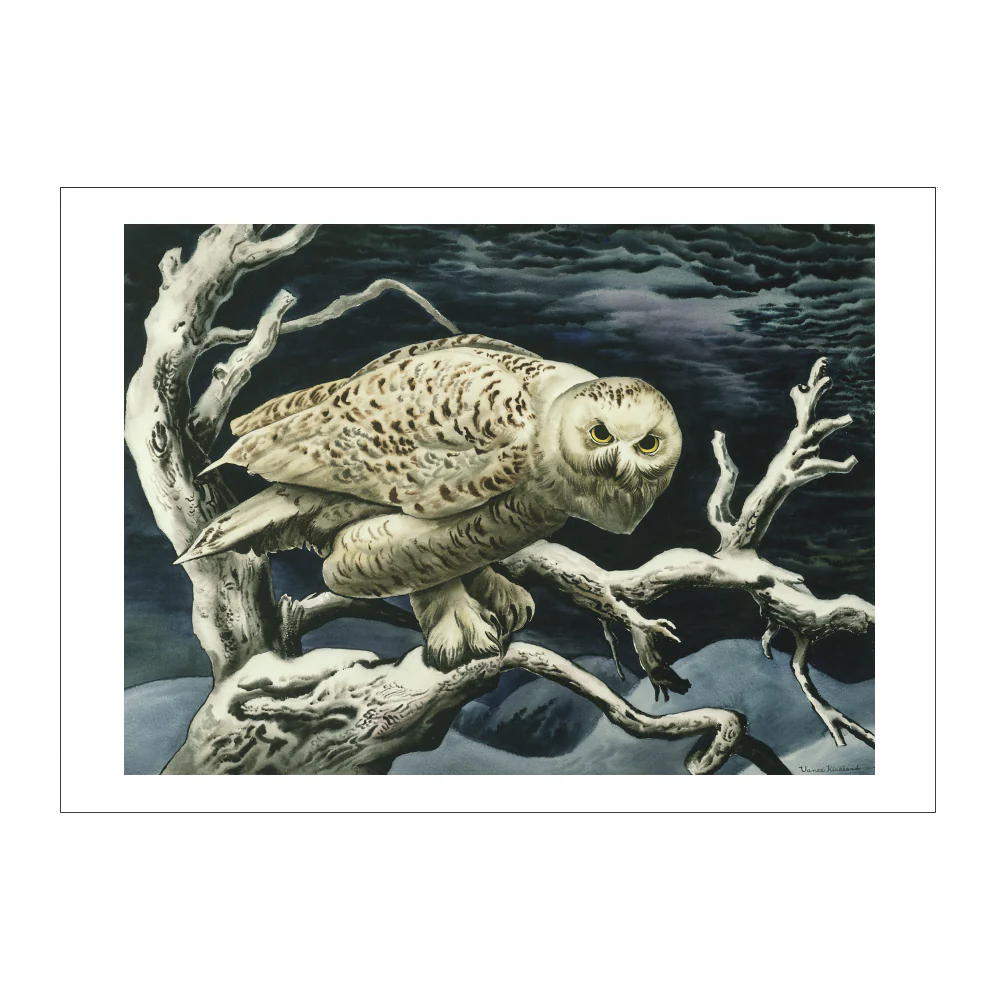Vance Kirkland - Snowy Owl Postcard