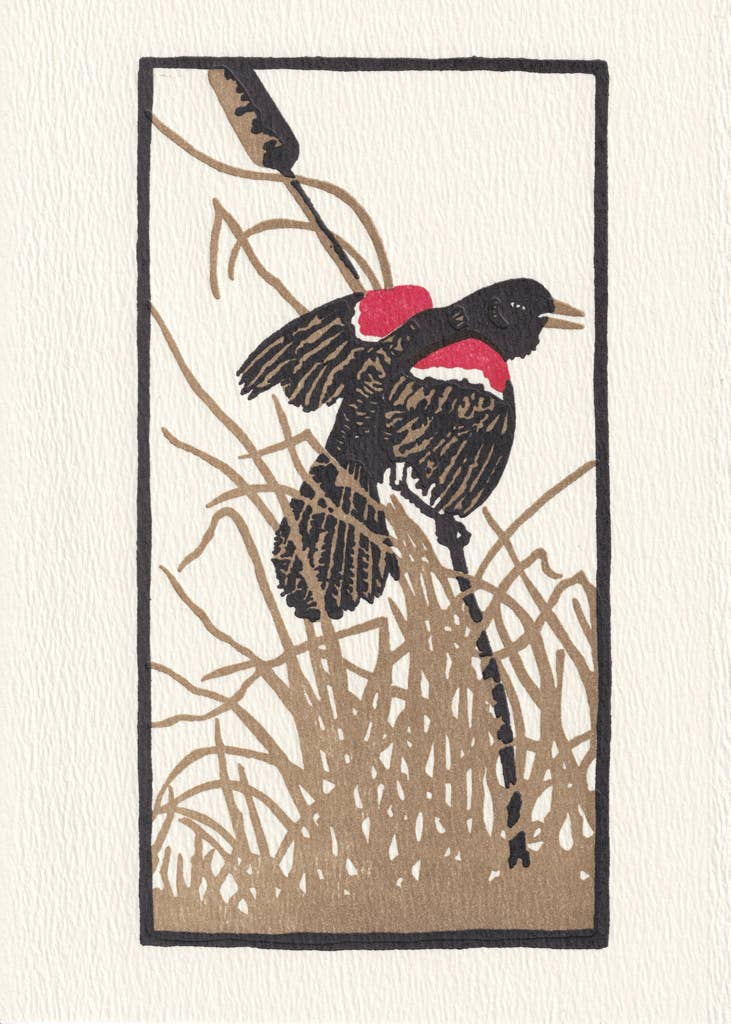 Red Wing Blackbird Individual Card