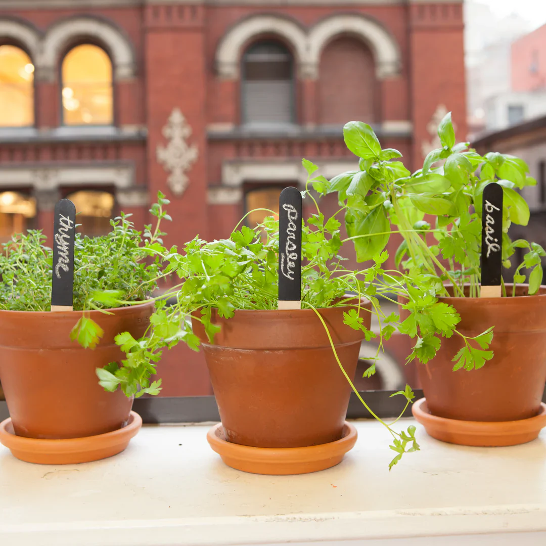 Reusable Garden Markers - Image 2
