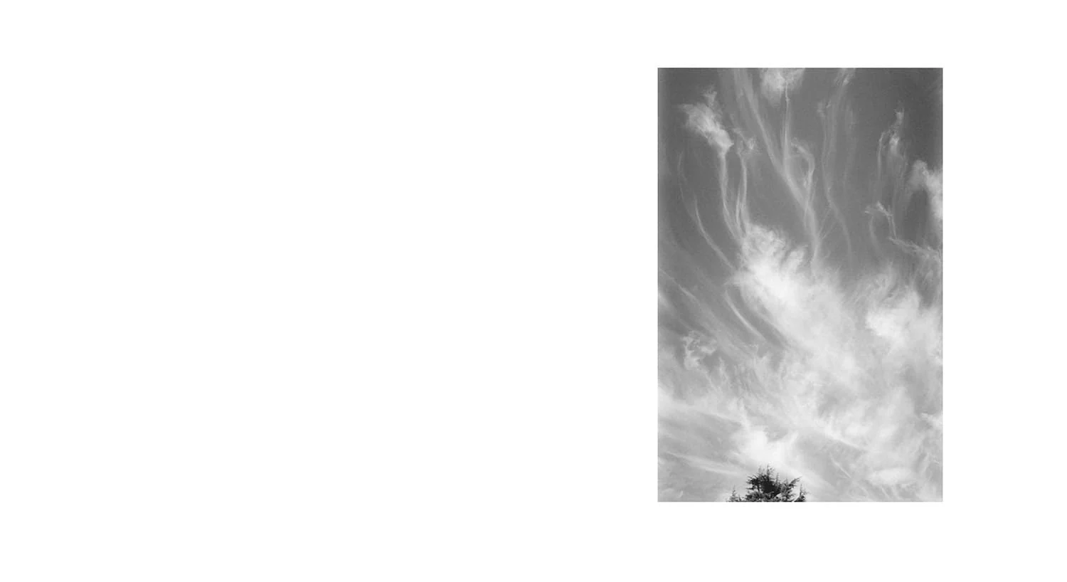 Robert Adams: Along The Canadian Border - Image 3